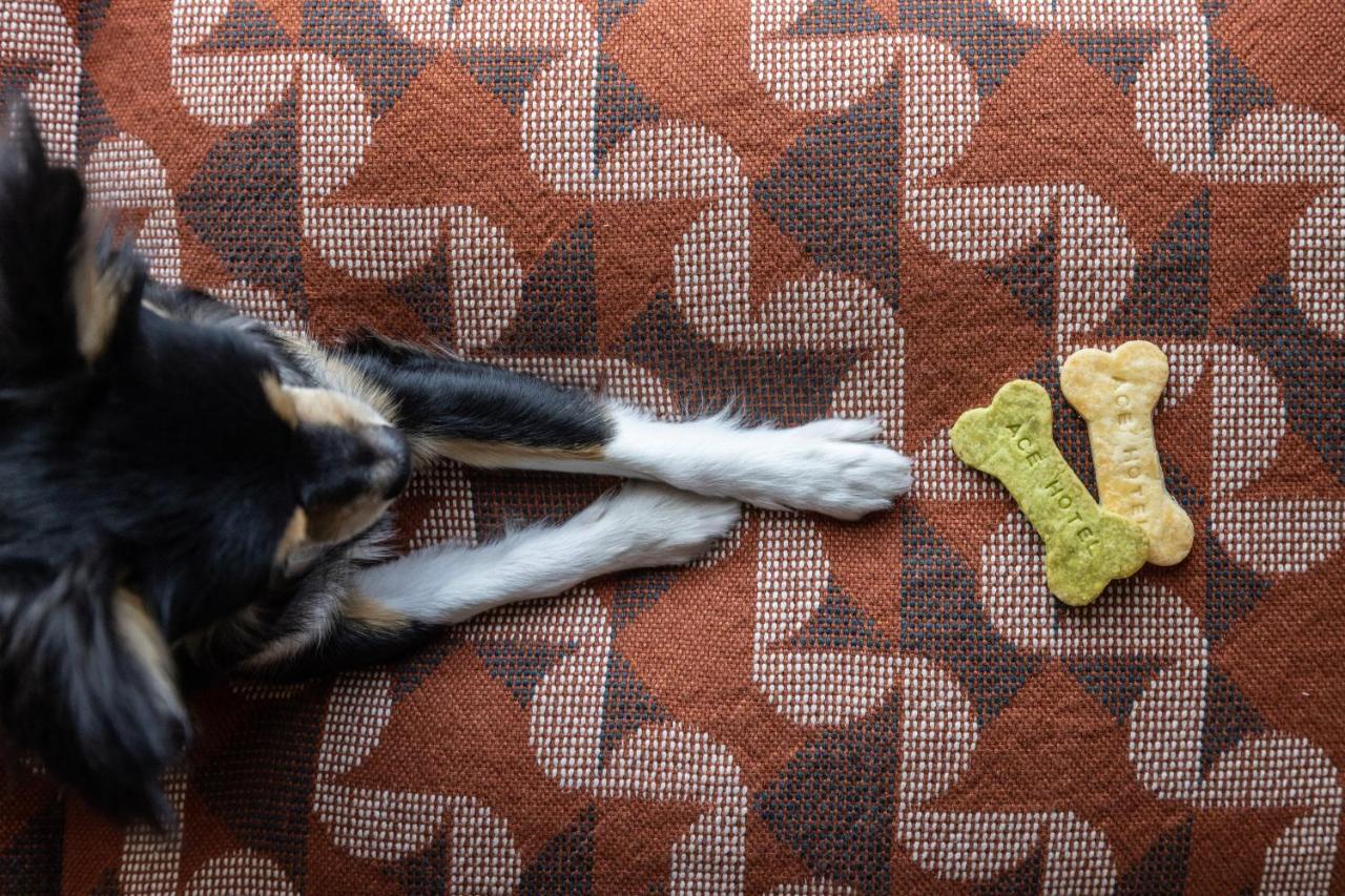 Ace Hotel Kyoto Quioto Exterior foto Dog biscuits